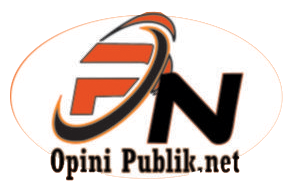 opinipublik